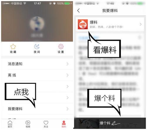 视频爆料一般在哪,副标题撰写技巧
