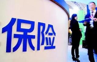 前海人寿爆料最新消息新闻,揭秘保险行业内幕！”