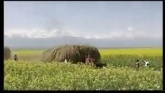奥得河的春天 在线播放,一场视觉与听觉的盛宴