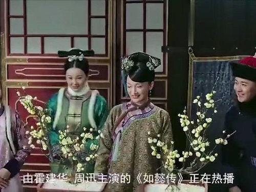 如懿传免费观看9,揭秘宫廷秘史再现巅峰之作！