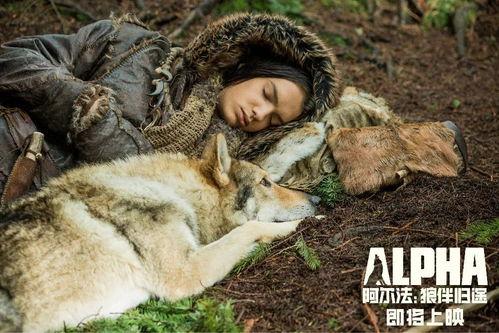 狼与狗电影免费观看,野性与忠诚的较量，免费观影盛宴