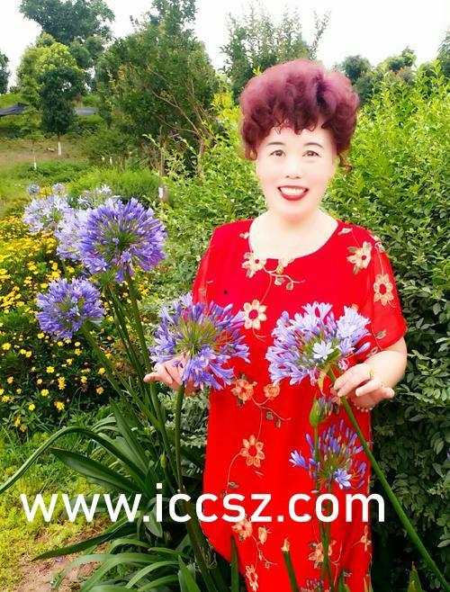 西川里音有无码的么,真伪难辨的有码之谜