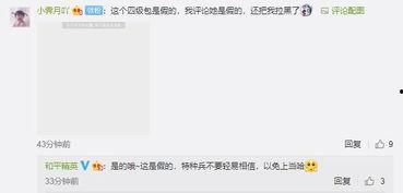 小白爆料视频大全集在线观看,揭秘幕后真相，尽在一线
