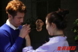 生死迷踪免费在线观看,免费在线解密生死之谜