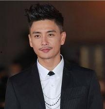 黄宗泽男明星,魅力四射的影视巨星，演绎人生百态