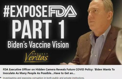 美国高管爆料视频