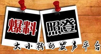 四川各大新闻爆料平台,多平台爆料聚焦民生、经济与文化动态