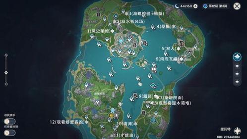 枫丹城地图爆料视频大全,全景解析神秘新世界