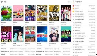 都有什么视频网站