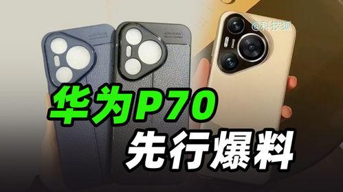 p70名称最新爆料价格